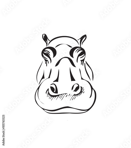 head of a hippo