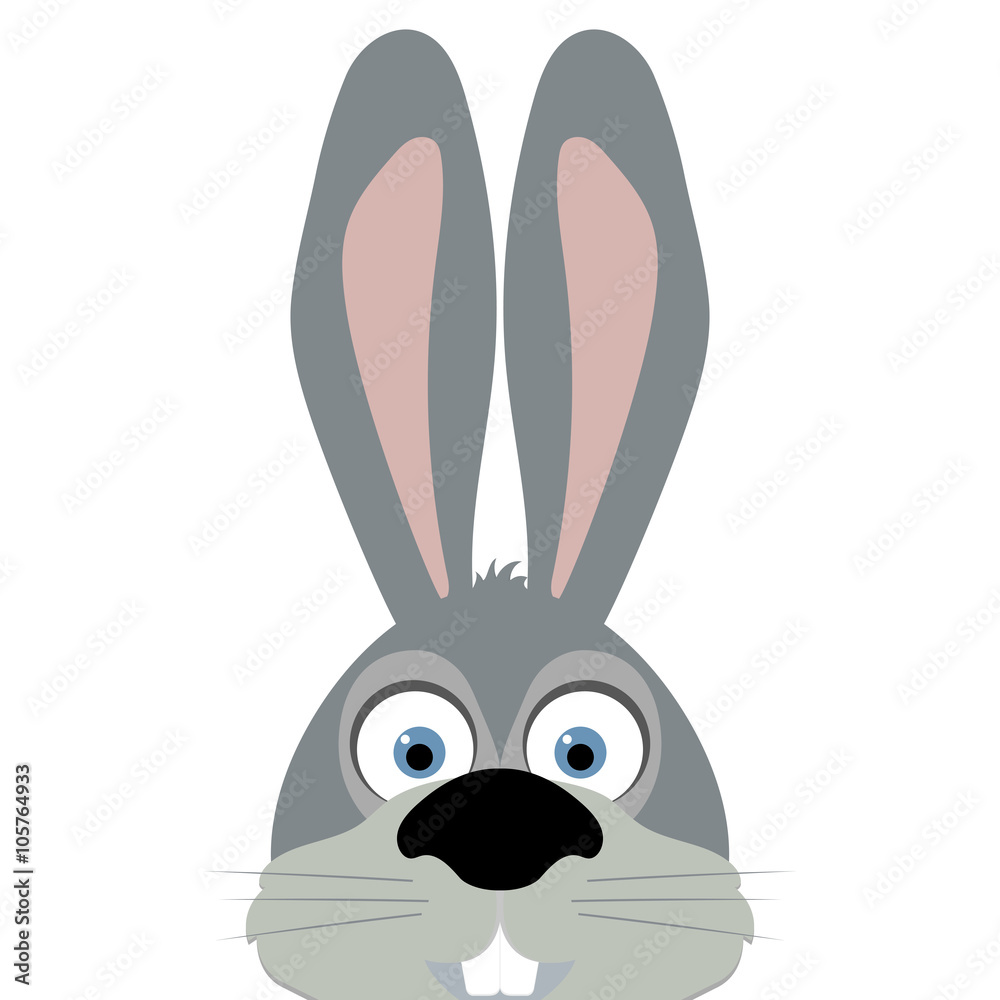 Fototapeta premium rabbit peeking from the bottom