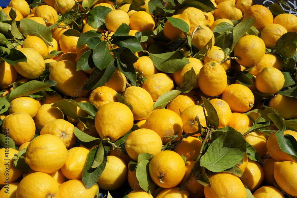 Citrons jaunes au marché, Athènes, Grèce