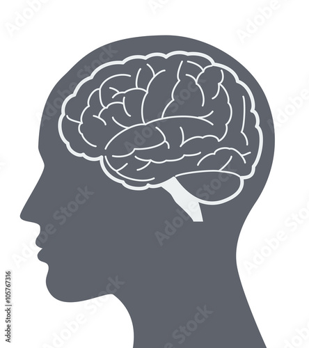 Fotografija Vector brain silhouette illustration with woman face profile.