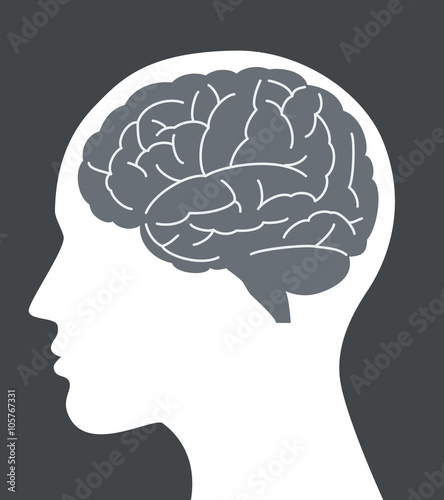 Human brain vector illustration with face profile