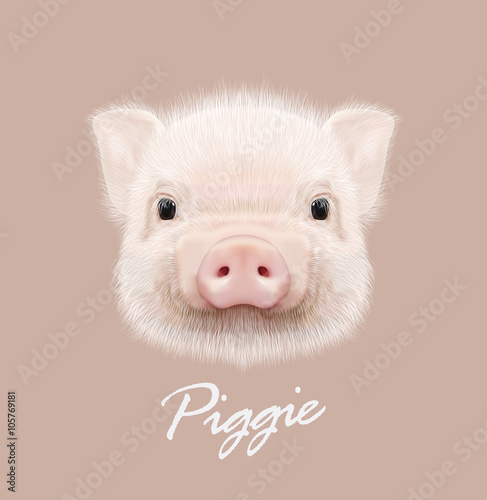 Vector illustrated portrait of farm pig.