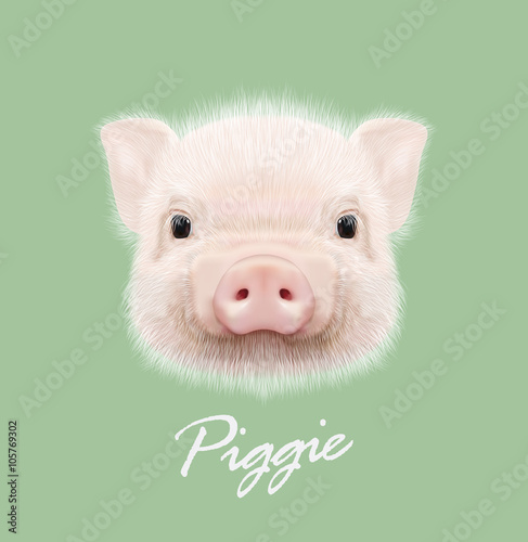 Vector illustrated portrait of farm pig. 