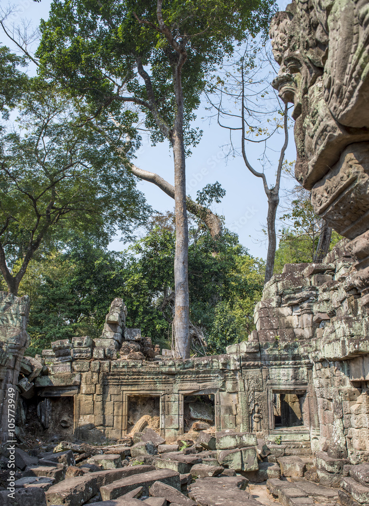 Treee and dancing woman at Preah Khan,  the Temple of the Sacred