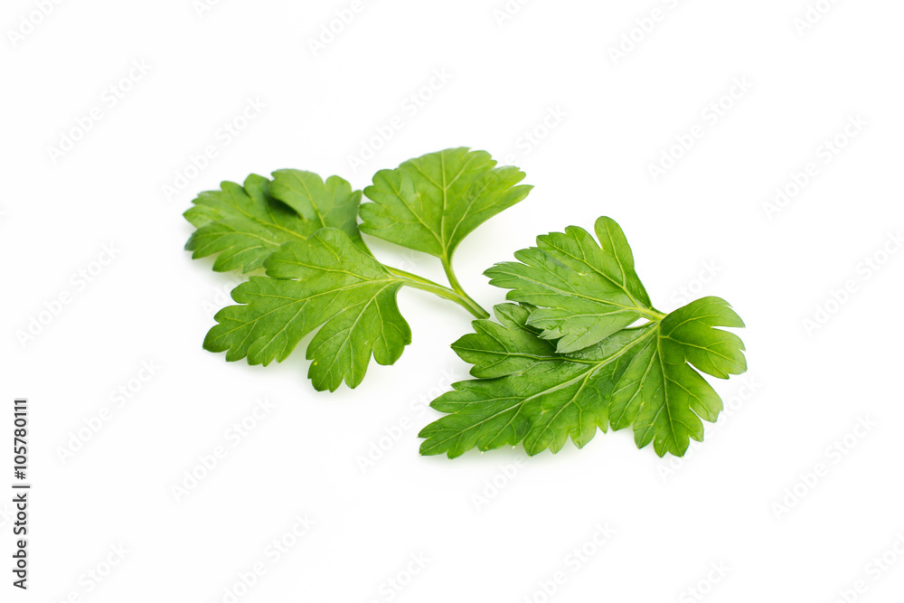 Parsley Parsley