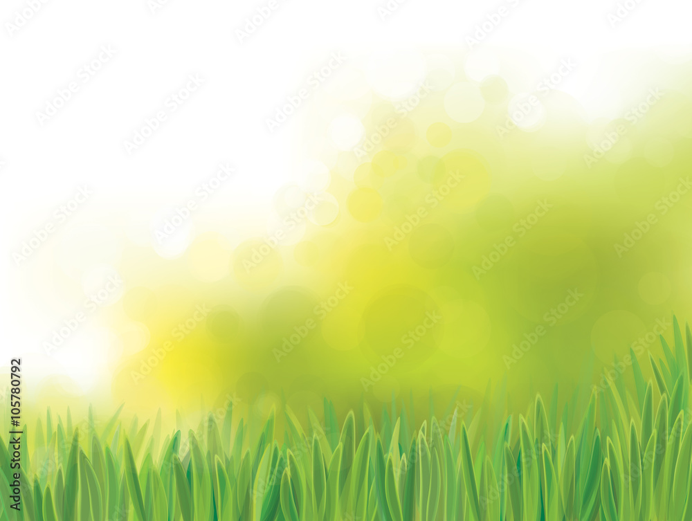 Vector green grass  on  bokeh, nature background.