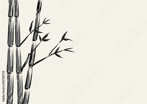 Sketch illustration of bamboo tree