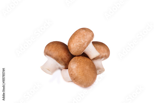 Fresh champignon mushrooms on white background