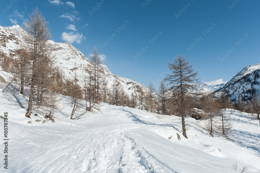 Alps mountain in winter