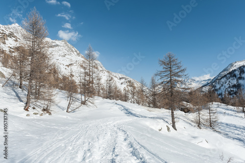 Alps mountain in winter