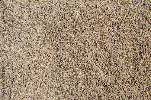 Obraz na płótnie Rice husk fuel for firing brick kilns, Mekong, Vietnam