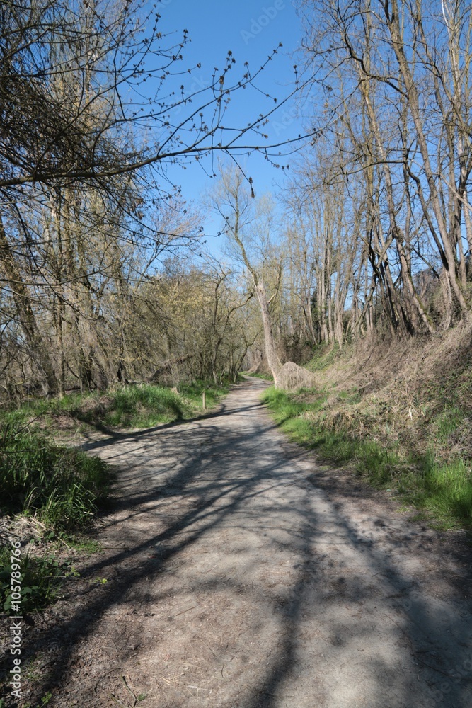 Risveglio primaverile