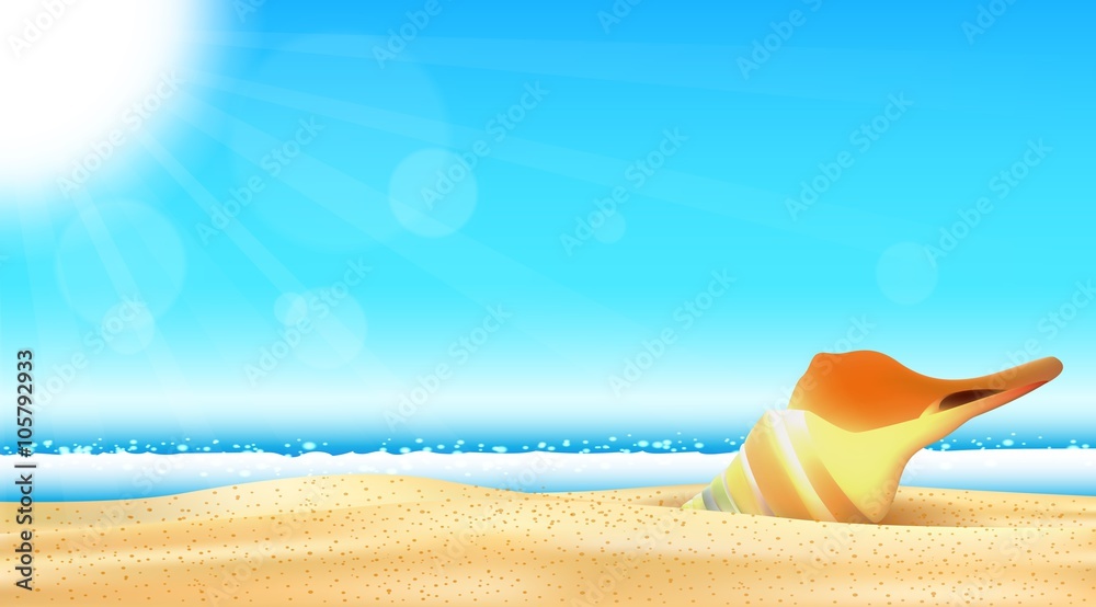 Summer Beach. shell on the seashore