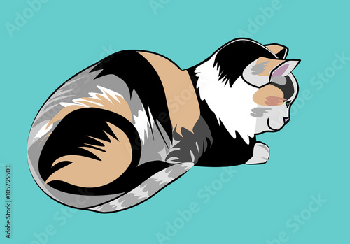 Colorful domestic pet cat.Flat illustration.