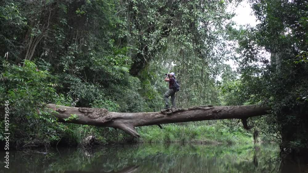 Man taking photo and Walking Across river on the fallen tree in the jungle of Khao Yai National Park. Thailand. 4k footage made at day.
Man taking photo and Walking Across river on the fallen tree in the jungle of Khao Yai National Park. Thailand. 4k footage made at day.