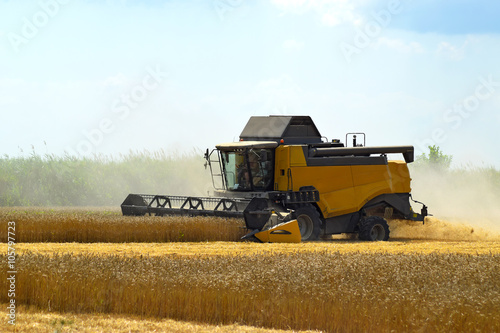 Canvas Print Kombain collects on the wheat crop