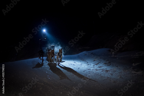 Sled Dog Race in the night photo