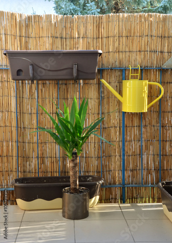 Yellow metal watering can (pot) hang on balcony railing, bamboo fence in background