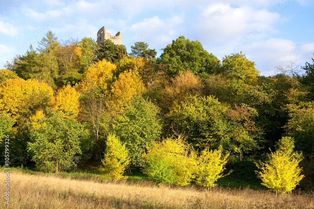 Ruins castle Valecov in Bohemia Paradise (Cesky Raj), North Bohemia, Czech republic Ruins castle Valecov in Bohemia Paradise (Cesky Raj), North Bohemia, Czech republic