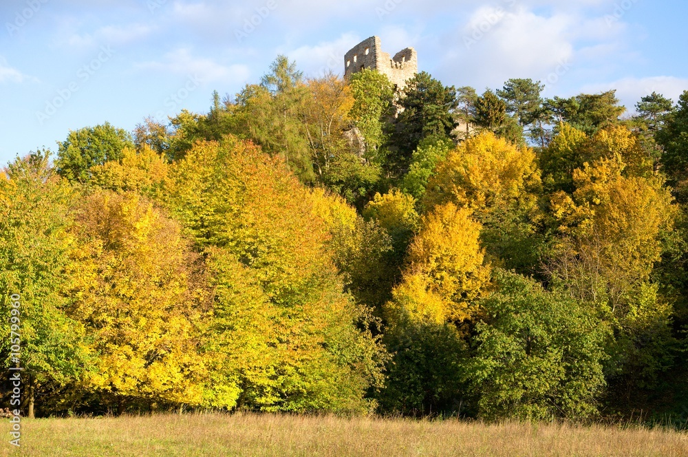 Ruins castle Valecov in Bohemia Paradise (Cesky Raj), North Bohemia, Czech republic