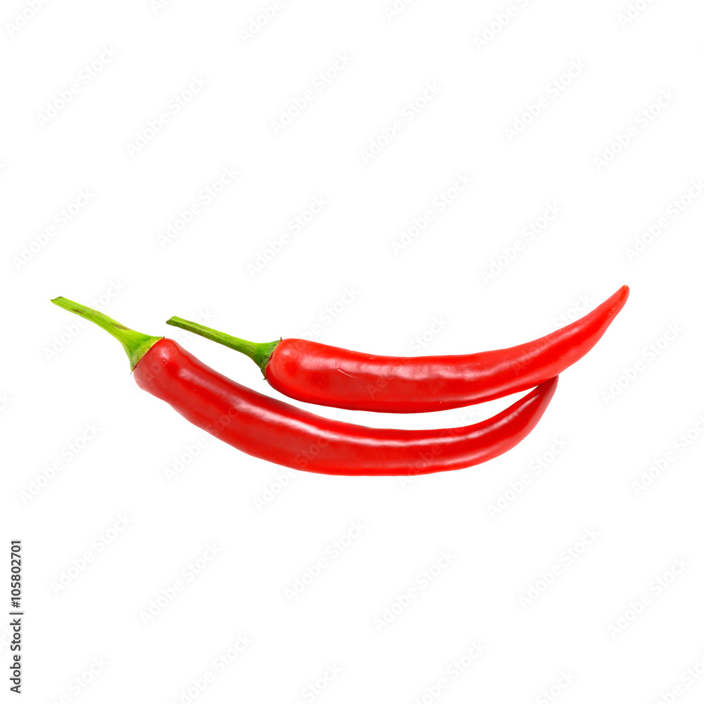 chili pepper isolated