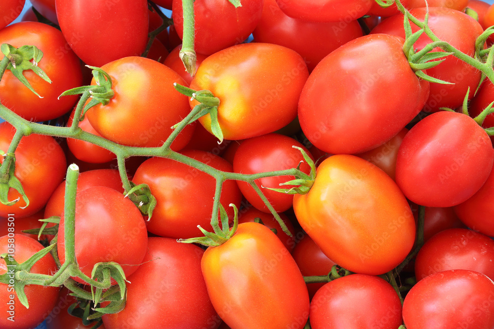 tomatoes bunch