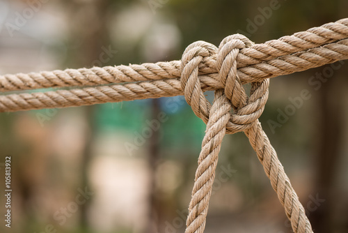 Rope with knot close up