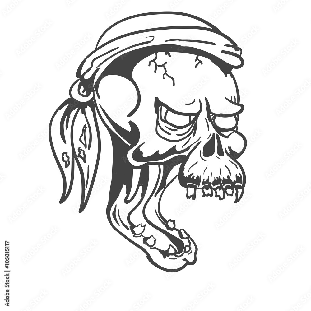 Skull isolated hand drawn vector illustration eps 10 Skull isolated hand drawn vector illustration eps 10