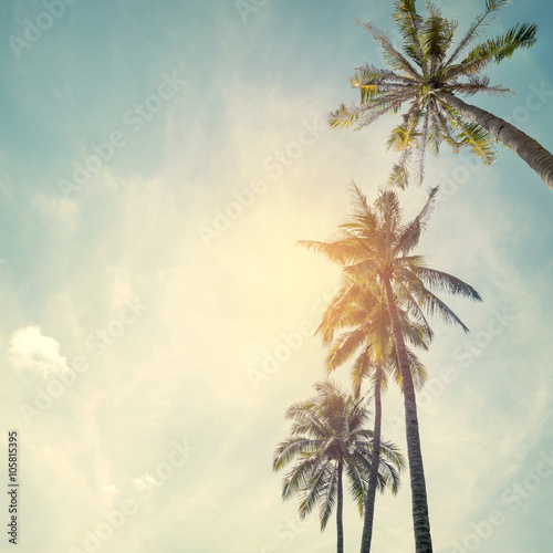 Palm trees at tropical beach coast, vintage color tone and film stylized © jakkapan
