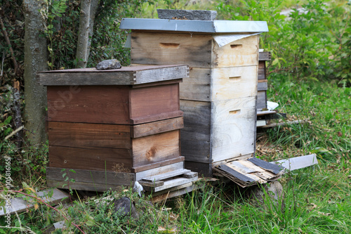 Beehive in Switzerland
