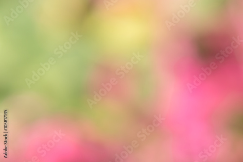Pink bokeh abstract backgrounds