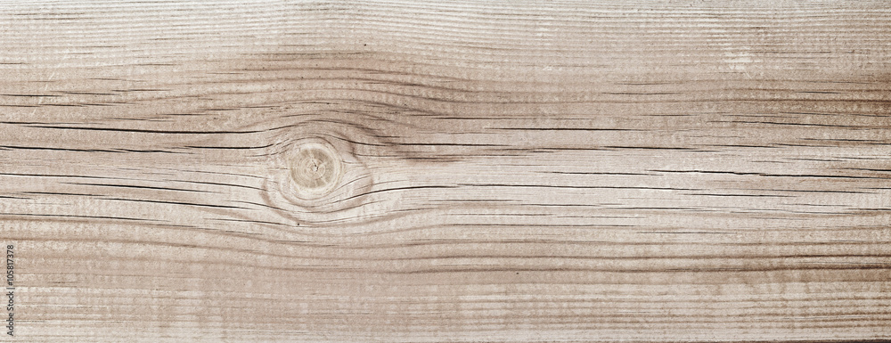 Fototapeta premium Wood Texture