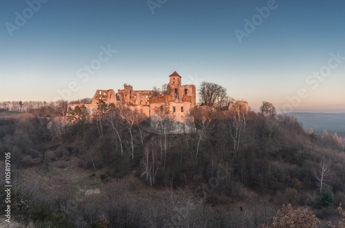 Ruins of medieval castle Teczyn in Rudno, Poland, in the evening photo