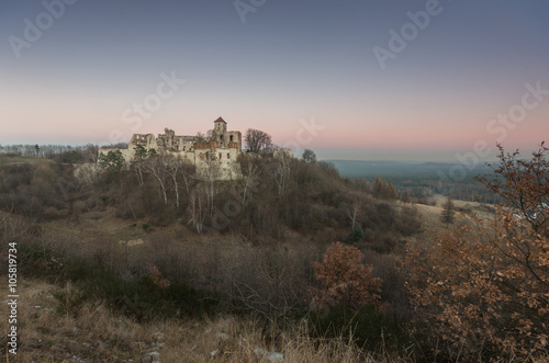Ruins of medieval castle Teczyn in Rudno, Poland, in the evening photo