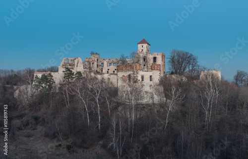 Ruins of medieval castle Teczyn in Rudno, Poland, in the evening photo