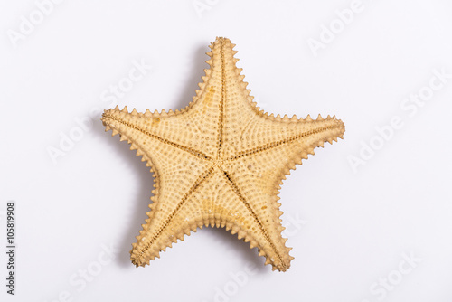 The caribbean starfish isolated on white background closeup, view from above