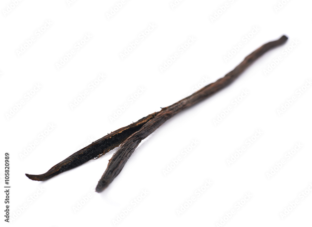 Obraz premium Dried vanilla pod fruit isolated