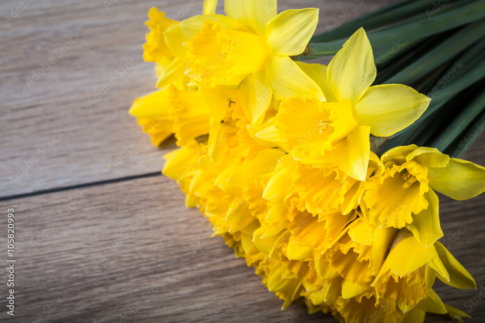 Bunch of yellow daffodils with blossom Bunch of yellow daffodils with blossom