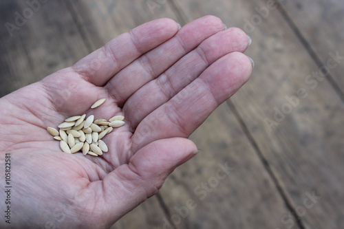 Plant seeds in the women's palm