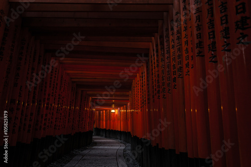 Kyoto Fushimi Inari Shrine (Fushimi Inari Taisha) - Gates Tunnel Pathway photo