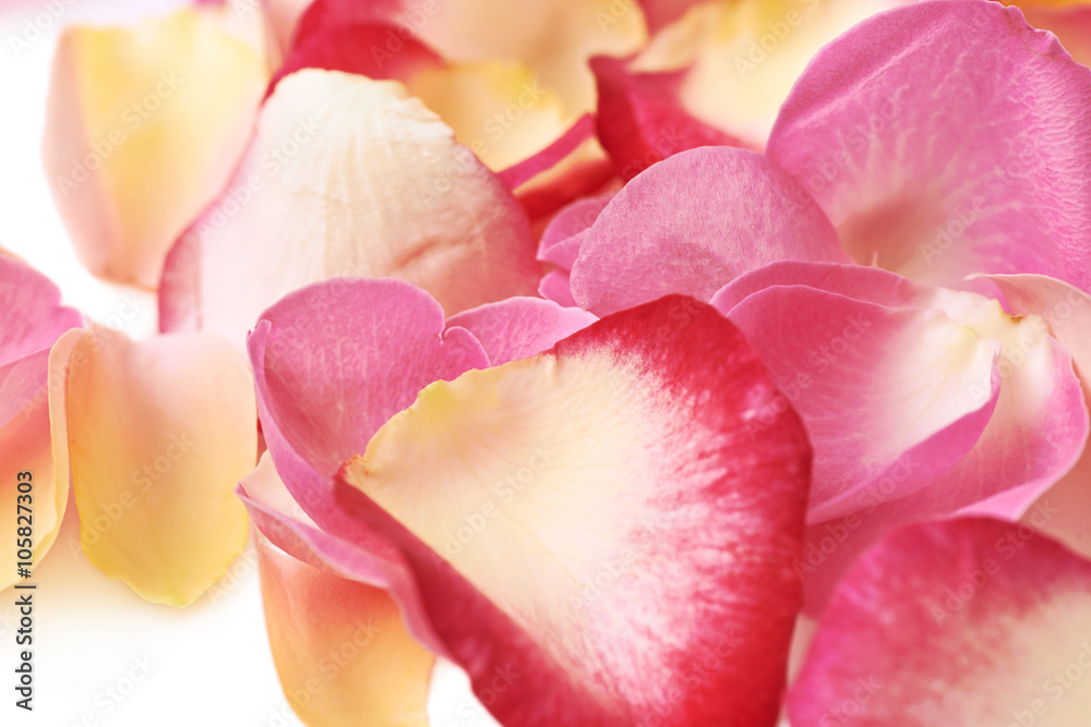 Fototapeta premium Surface covered with rose petals