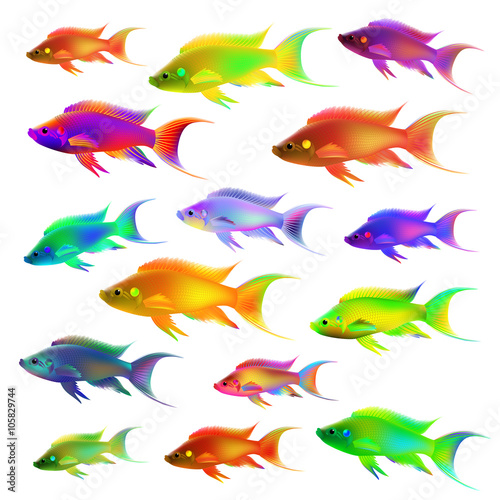 Set of colourful fish