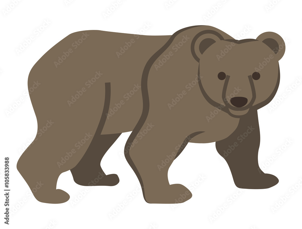 ヒグマ - Brown Bear