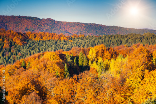 colored autumn mountains