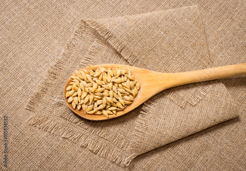 barley grain on a canvas