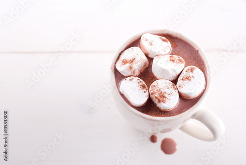 delicious cup of cocoa with marshmallows