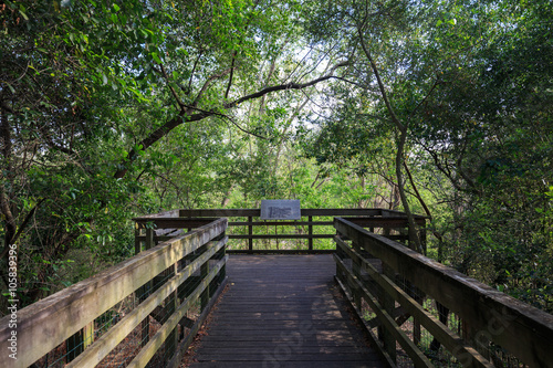 Bird area of Houston Arboretum Nature Center