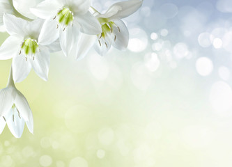 spring background