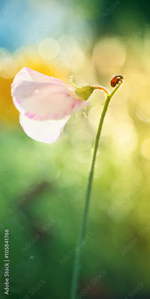 Naklejka premium Czas odpocząć 2