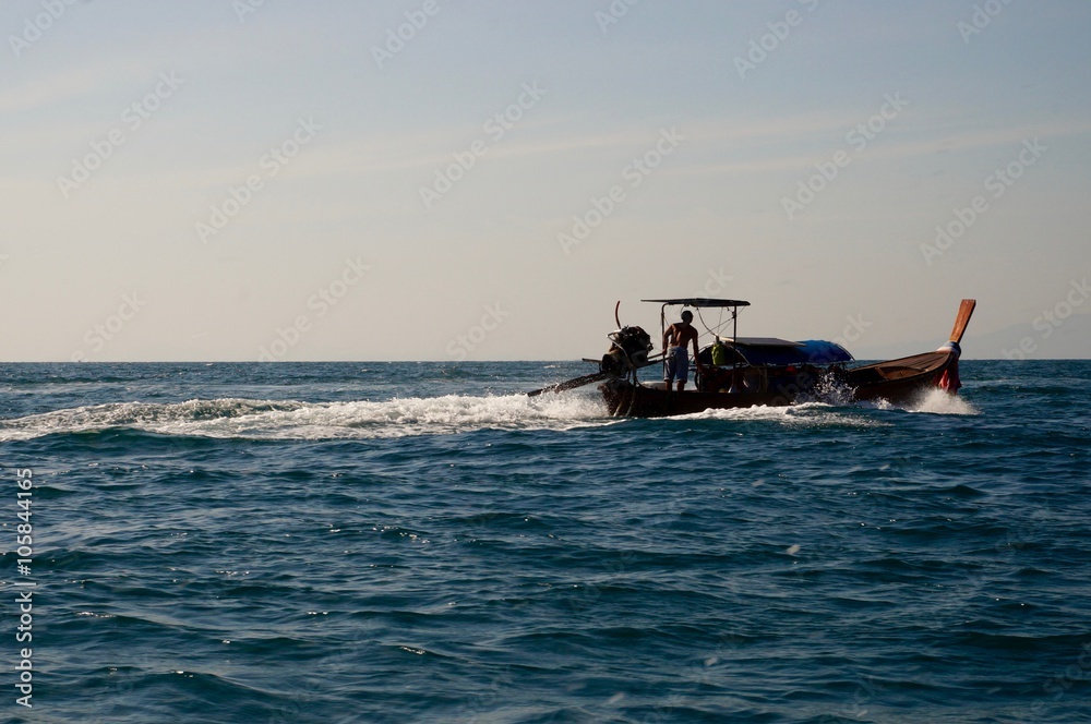 Obraz premium Longtail